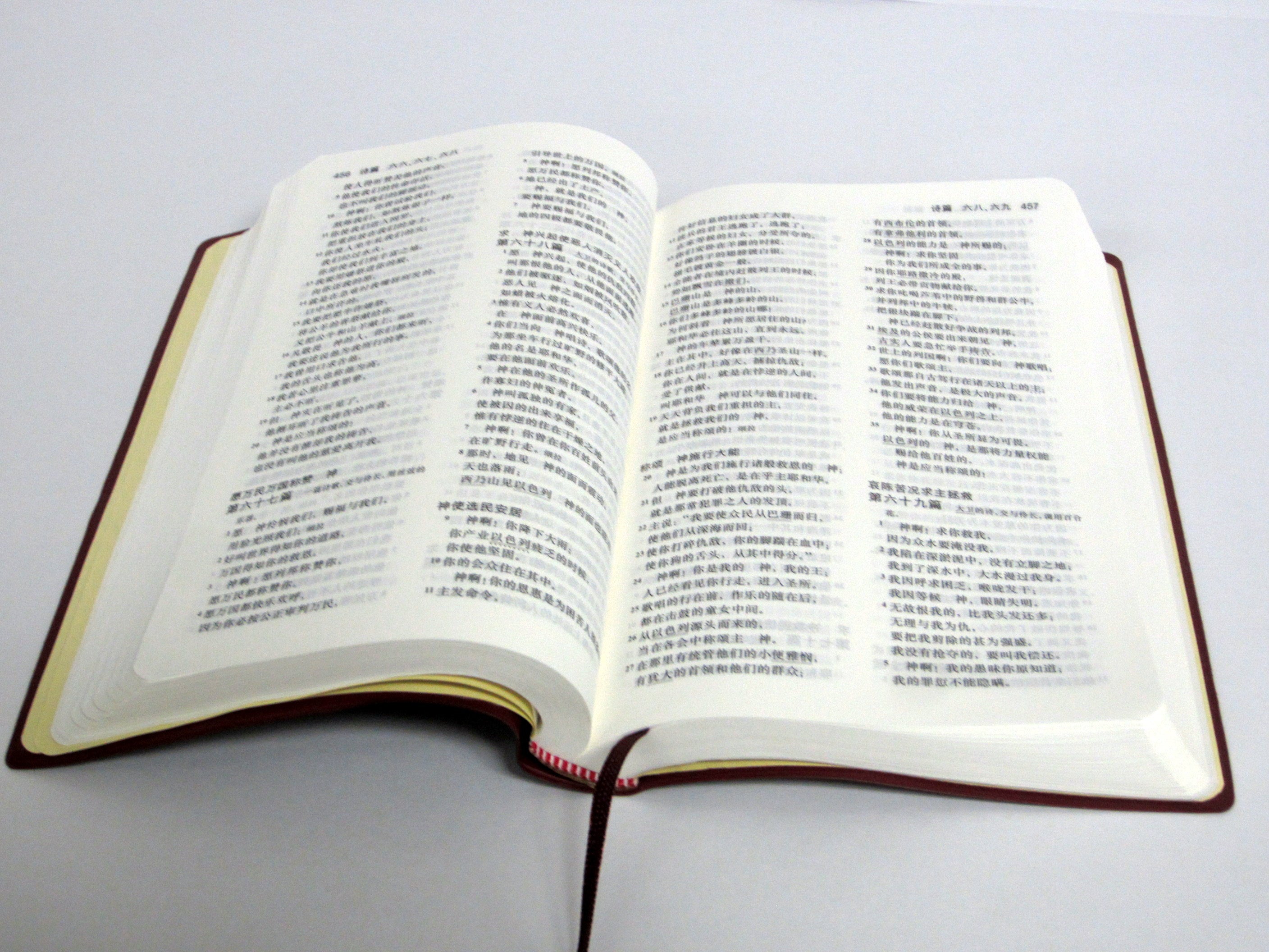 和合本聖經-棗紅色封面（簡）Burgundy Bible (CUV)-medium size