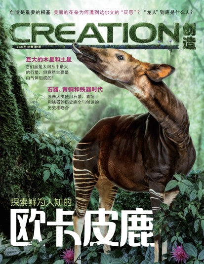 续订創造雜誌（季刊）Creation Magazine Renewal 2024