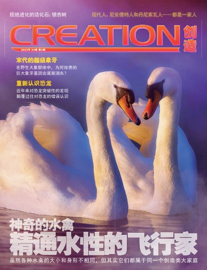 訂閱創造雜誌（季刊） Creation Magazine 2024 Subscription - 4 issues