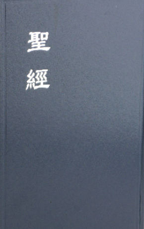 聖經和合本-大字神版-藍面銀邊 - CUV Large-Hardcover- Trad.