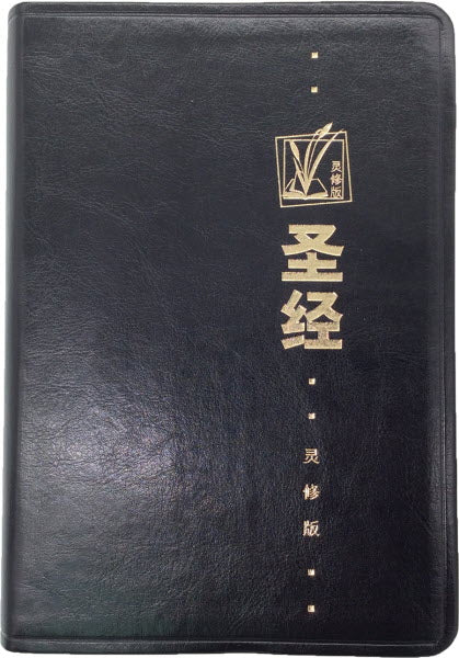 聖經靈修版-皮面金邊-簡體 Chinese Life Application Bible Simp. Leather