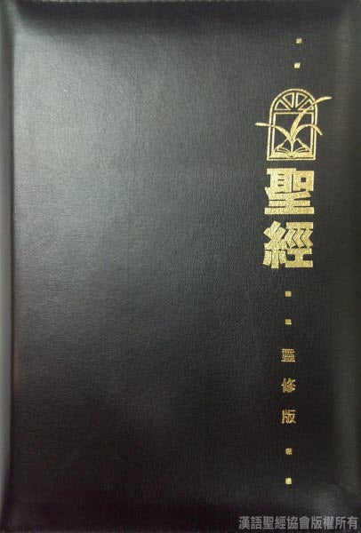 聖經靈修版(皮面金邊) - Chinese Life Application Bible Trad. Leather