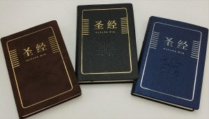 TCV Deluxe Bible - soft cover